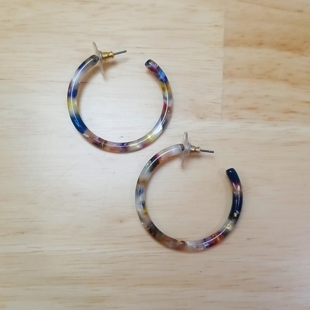 J Crew Rainbow Tortoise Hoop Earrings